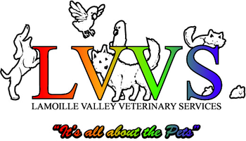 Lamoille Valley Veterinary Services